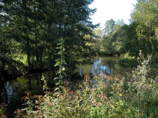 Radweg Schwarzach bei Neunburg / Kröblitz